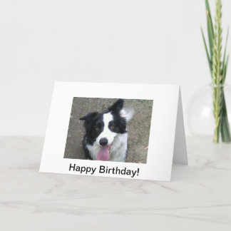 Cartão de aniversário de border collie