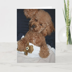Cartão de Aniversário de Cachorrinho