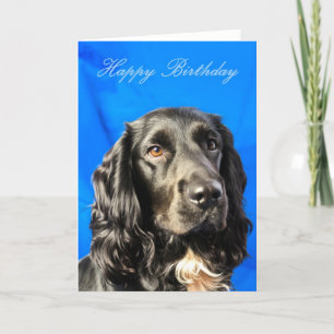 Cartão de Aniversário de Cachorro