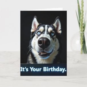 Cartão de Aniversário de Cachorro Intenso