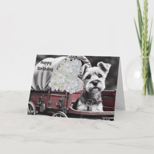 Cartão de Aniversário de Cachorro Terrier em Carri