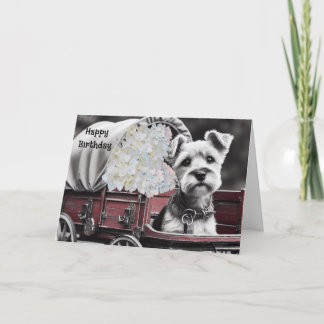 Cartão de Aniversário de Cachorro Terrier em Carri