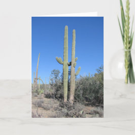 Cartão de Aniversário de Cactus Engraçado