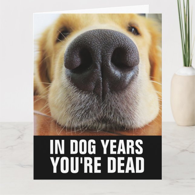 CARTÃO DE ANIVERSÁRIO DE CÃO ENGRAÇADO (Frente)