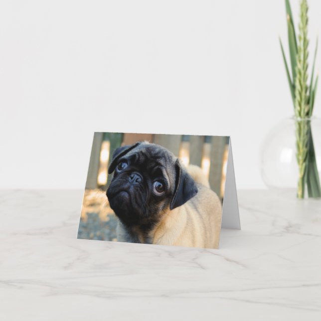 Cartão de Aniversário de Cãozinho (Frente)