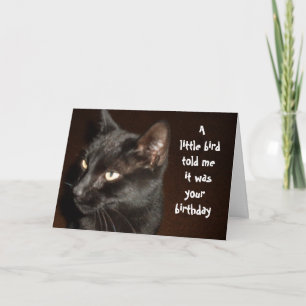 Cartão de aniversário de CAT e AVES