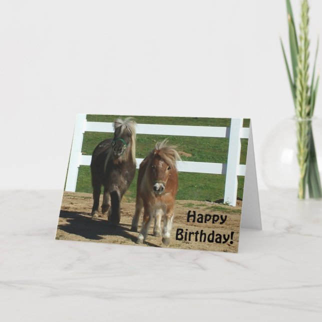 Cartão de Aniversário de Cavalo Miniatura Bonito (Frente)