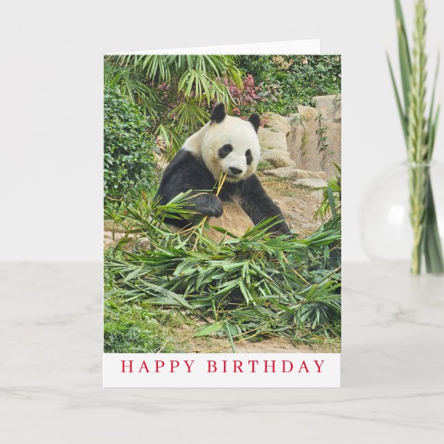 Cartão de aniversário de comer panda bonito (Frente)