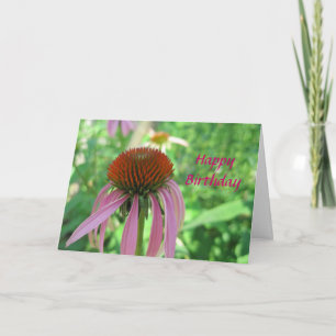 Cartão de aniversário de Coneflower