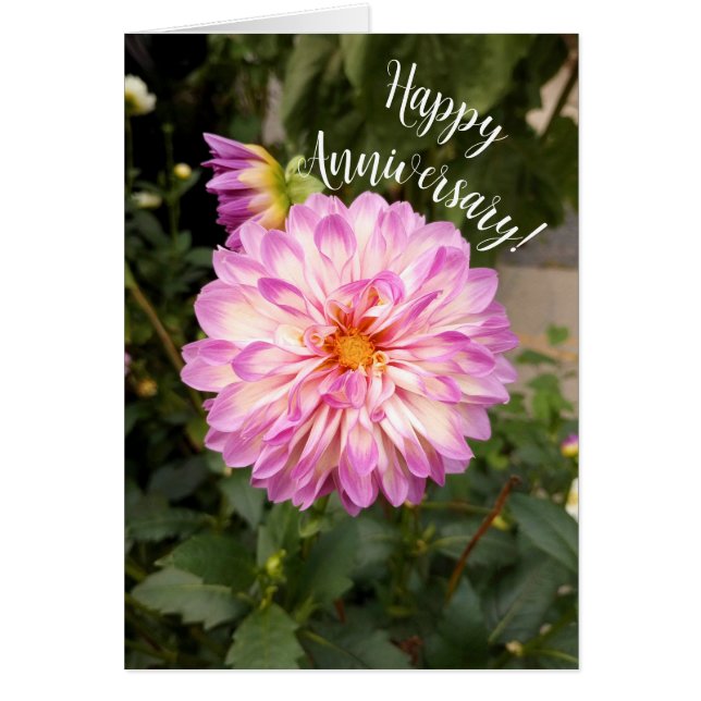 Cartão de Aniversário de Dahlia Branca e Roxo rico (Frente)