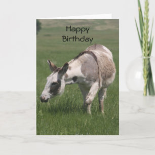 Cartão de Aniversário de Donkey