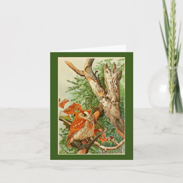 Cartão de Aniversário de Duas Corujas (Frente)