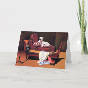 Cartão de Aniversário de Erro Grave