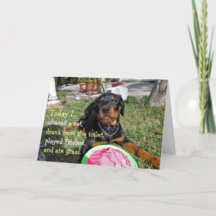 Cartão de Aniversário de Filhote de Rottweiler Ata