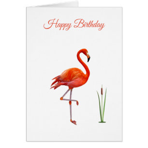 Cartão de Aniversário de Flamingo Rosa Bonito