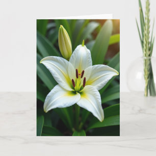 Cartão de Aniversário de Flor Luminosa