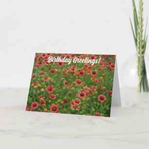 Cartão de Aniversário de Flor Vermelho