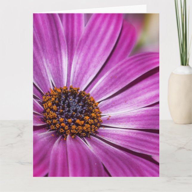 CARTÃO DE ANIVERSÁRIO DE FLORES DE COSMEA PURPLE (Frente)