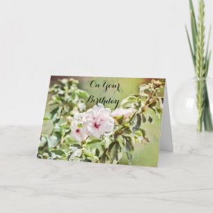 Cartão de Aniversário de Flores de Hibiscus Mole