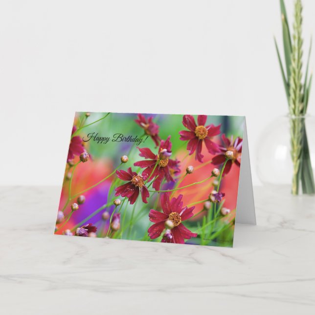 Cartão de Aniversário de Flores Selvagens (Frente)