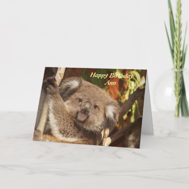 Cartão de aniversário de fotografia Cute Koala (Frente)