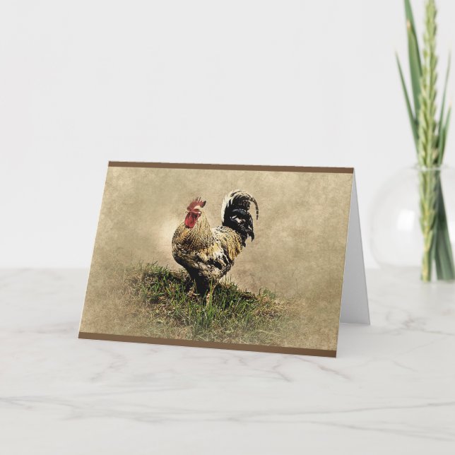 Cartão de Aniversário De Galinha Não Muito (Frente)