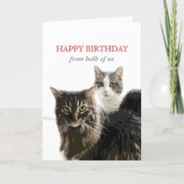 Cartão de aniversário de gatinho bonito de nós doi