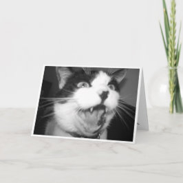 Cartão de aniversário de Gatinho de ópera