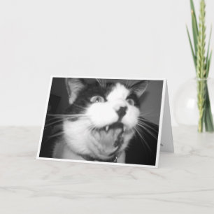 Cartão de aniversário de Gatinho de ópera