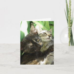 Cartão de aniversário de gatinhos fofos se aconche
