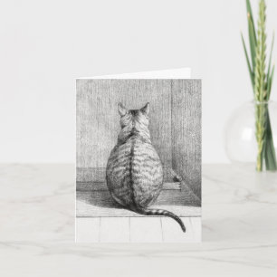 Cartão de aniversário de gato