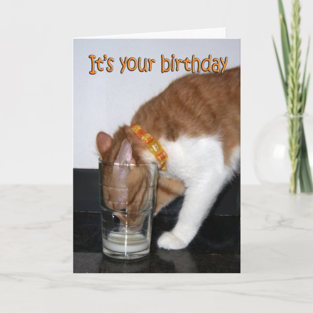 Cartão de aniversário de gato bebendo de um copo (Frente)