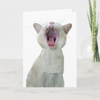 Cartão de aniversário de gato birmanês