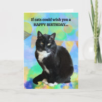 Cartão de Aniversário de Gato Engraçado do gato