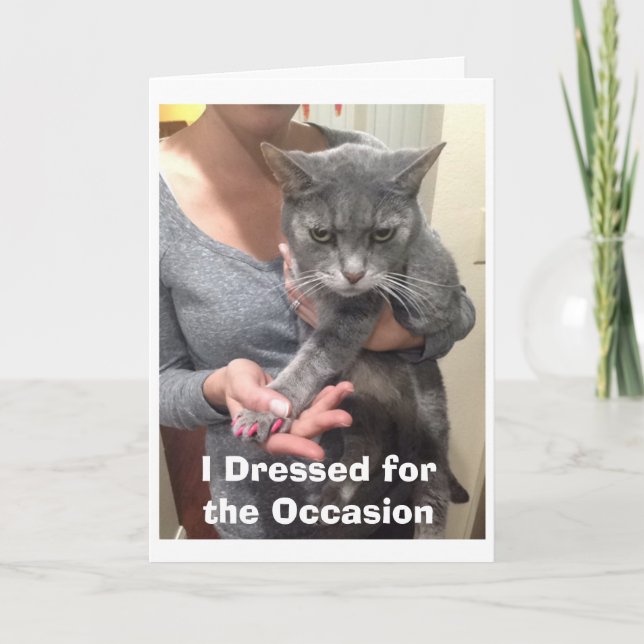 Cartão de Aniversário de Gato Irritado (Frente)