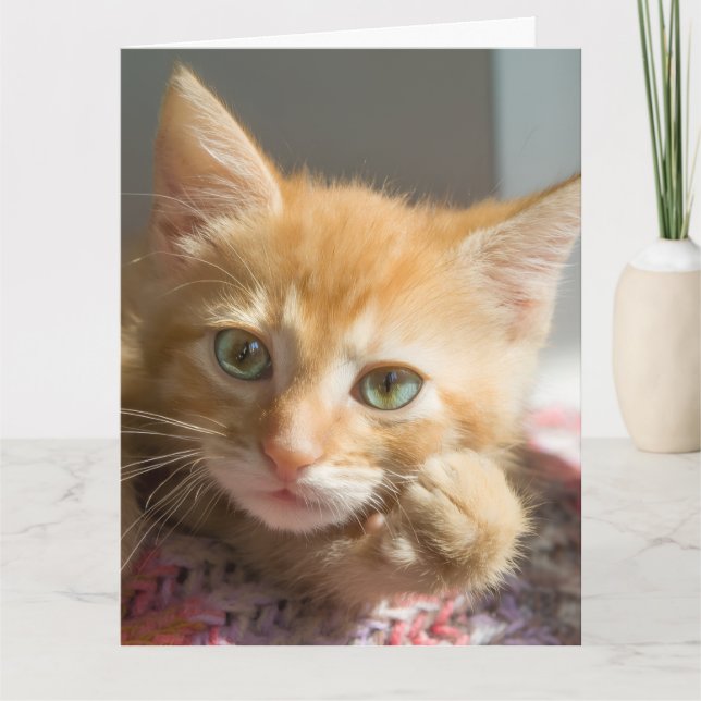 CARTÃO DE ANIVERSÁRIO DE GATO LARANJA (Frente)