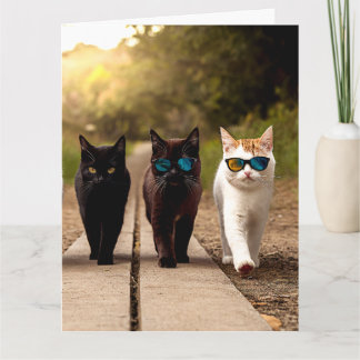 CARTÃO DE ANIVERSÁRIO DE GATO LEGAL