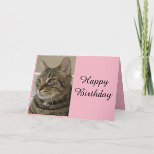 Cartão de Aniversário de Gato Listrado