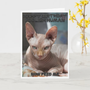 Cartão de aniversário de gato malvado