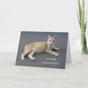 Cartão de Aniversário de Gato Manx por Foco para u