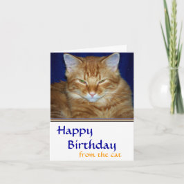 Cartão de Aniversário de Gato Rabugento - Divertid