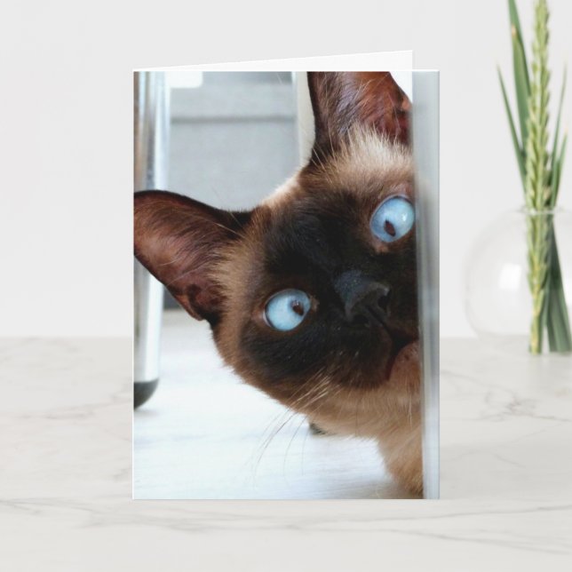 CARTÃO DE ANIVERSÁRIO DE GATO SIAMESE FOFO (Frente)