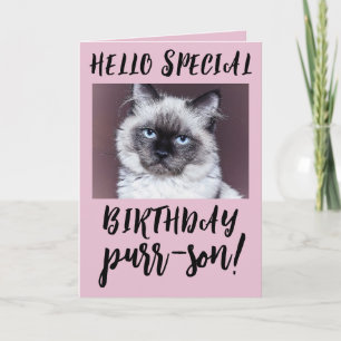 CARTÃO DE ANIVERSÁRIO DE GATO SIAMEZ PERSA