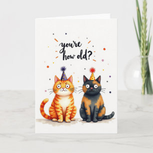 Cartão de Aniversário de Gatos Divertidos