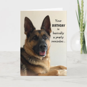 Cartão de Aniversário de German shepherd Engraç