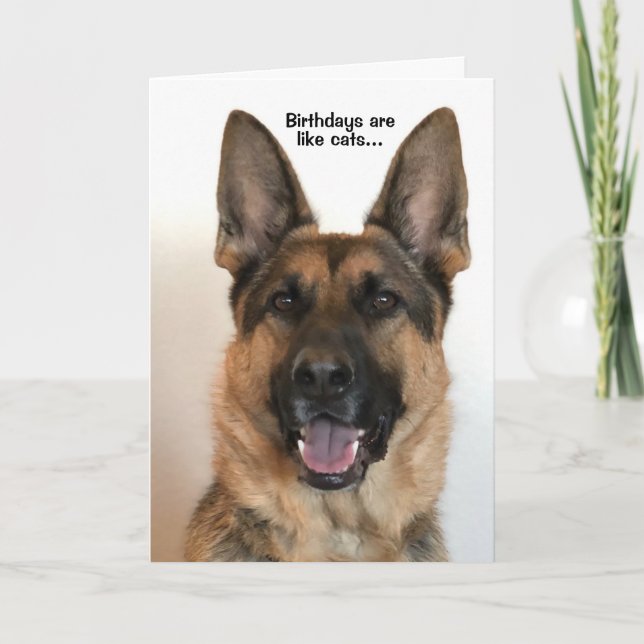 Cartão de Aniversário de German shepherd Engraçado (Frente)