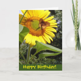 Cartão de Aniversário de Girassol-Borboleta