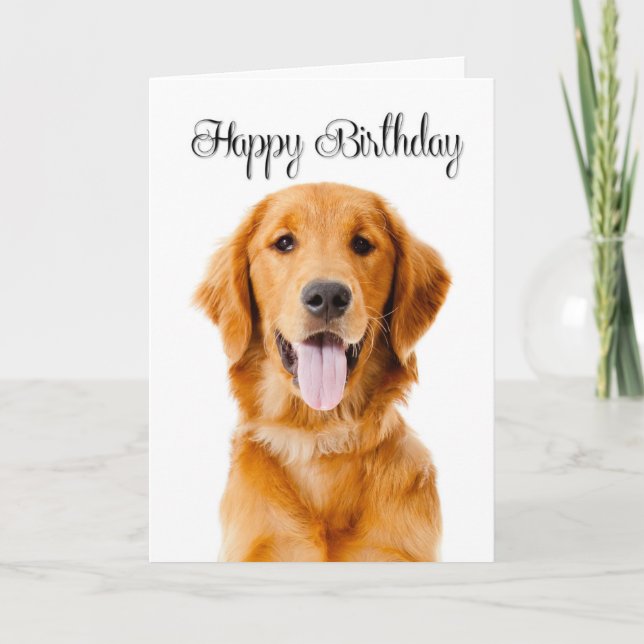 Cartão de Aniversário de Golden Retriever (Frente)
