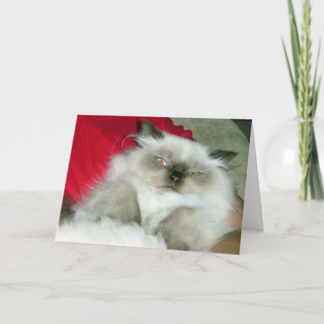 Cartão de Aniversário de Himmy (Frente)