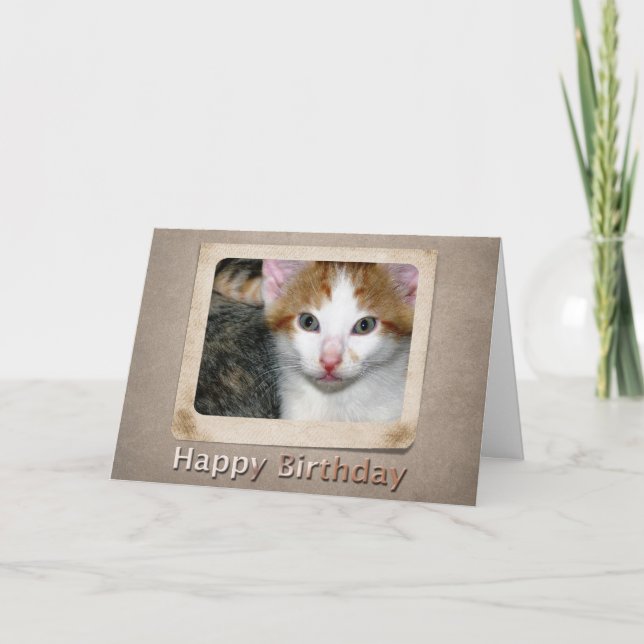Cartão de Aniversário de Kitten (Frente)